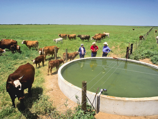 Livestock producers across the country have worked with NRCS experts to improve water resources on their farms. (Photo courtesy Ken Hammond, NRCS)